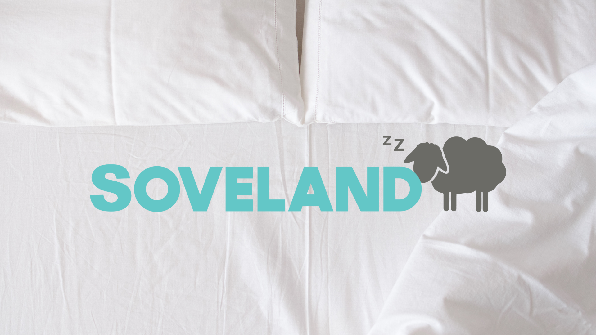 Thumbnails-til-cases-11